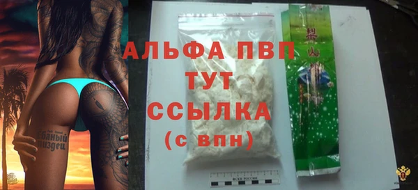 шишки Майский
